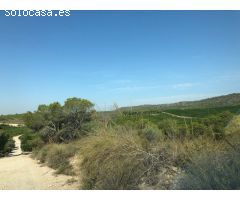 Esplendida finca rústica con casa, balsa ,etc..de 150 hectareas con limones Verna y mandarinas Afure