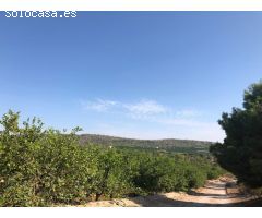 Esplendida finca rústica con casa, balsa ,etc..de 150 hectareas con limones Verna y mandarinas Afure