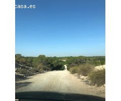 Esplendida finca rústica con casa, balsa ,etc..de 150 hectareas con limones Verna y mandarinas Afure