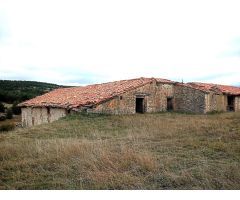 Finca rustica en Venta en Alcalá de la Selva, Teruel