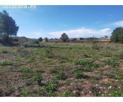 Finca rustica en Venta en Torrecilla de Alcañiz, Teruel