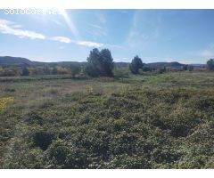 Finca rustica en Venta en Torrecilla de Alcañiz, Teruel