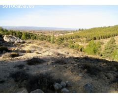 Finca rustica en Venta en San Agustín, Teruel