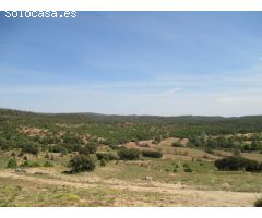 Finca rustica en Venta en Estación Mora de Rubielos, Teruel