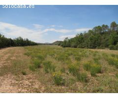 Finca rustica en Venta en Estación Mora de Rubielos, Teruel