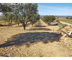 Finca rustica en Venta en Las Barracas, Castellón