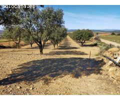 Finca rustica en Venta en Las Barracas, Castellón
