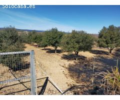 Finca rustica en Venta en Las Barracas, Castellón