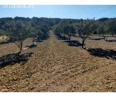 Finca rustica en Venta en Las Barracas, Castellón