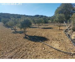 Finca rustica en Venta en Las Barracas, Castellón