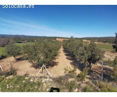 Finca rustica en Venta en Las Barracas, Castellón