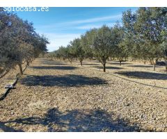 Finca rustica en Venta en Las Barracas, Castellón