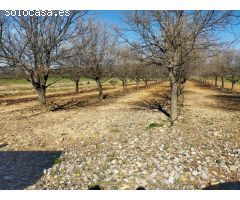 Finca rustica en Venta en Las Barracas, Castellón