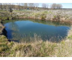 Finca rustica en Venta en Las Barracas, Castellón