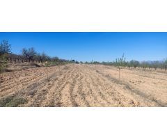 Parcela en Venta en Pozo-Aledo, Murcia