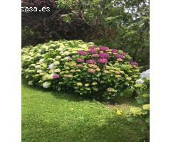 Chalet en Venta en Navia, Asturias
