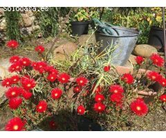 Chalet en Venta en Navia, Asturias