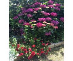 Chalet en Venta en Navia, Asturias