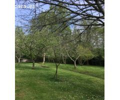 Chalet en Venta en Navia, Asturias