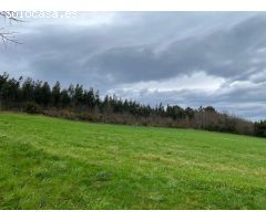 Parcela en Venta en Coaña, Asturias