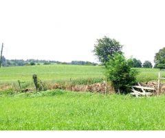 Chalet en Venta en Salas, Asturias