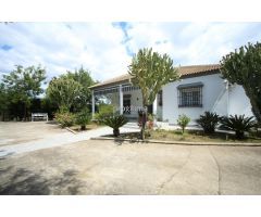 Chalet Unifamiliar con Piscina, Casa de Invitados y Parcela Llana de 1.461 m² en Las Pajanosas Golf