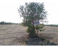 PARCELA EN MATOLA
