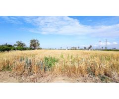 SE VENDE CASA DE CAMPO CON 42.000 M2 DE PARCELA.