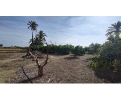 SE VENDE CASA DE CAMPO CON 42.000 M2 DE PARCELA.