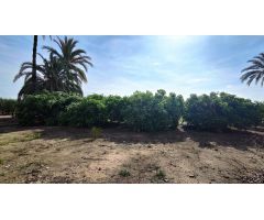 SE VENDE CASA DE CAMPO CON 42.000 M2 DE PARCELA.