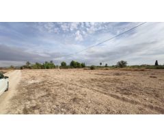 PERLETA, A 6 KM DEL CASCO URBANO DE ELCHE