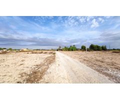 PERLETA, A 6 KM DEL CASCO URBANO DE ELCHE