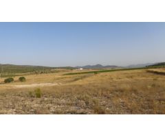 TERRENOS PARA CONSTRUIR EN SALINAS