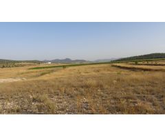 TERRENOS PARA CONSTRUIR EN SALINAS