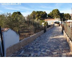 CAMPO EN ELDA