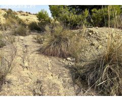 Parcela en Venta en Caserío El Campello, Alicante