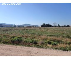 Parcela de más de 3.000 m2 enclavada en el SRE-2 de Llíria (Censals)