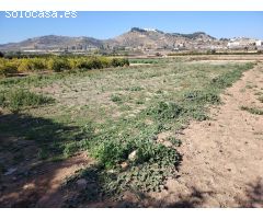 Terreno rústico para el cultivo