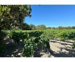 Finca rustica en Venta en Jerez de la Frontera, Cádiz
