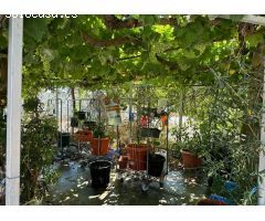 Finca rustica en Venta en Jerez de la Frontera, Cádiz