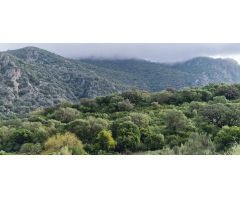 Finca rustica en Venta en Ubrique, Cádiz