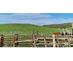 Finca rustica en Venta en Los Barrios, Cádiz