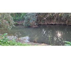 Finca rustica en Venta en Los Barrios, Cádiz
