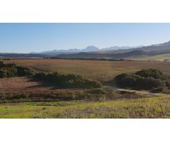 Finca rustica en Venta en Arcos de la Frontera, Cádiz