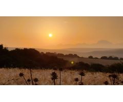 Finca rustica en Venta en Arcos de la Frontera, Cádiz