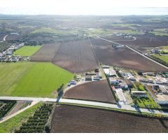 Finca rustica en Venta en Jerez de la Frontera, Cádiz