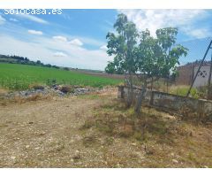 Finca rustica en Venta en Jerez de la Frontera, Cádiz
