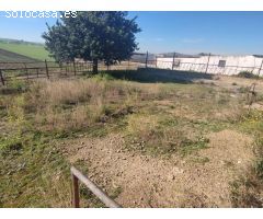Finca rustica en Venta en Jerez de la Frontera, Cádiz
