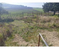 Finca rustica en Venta en Jerez de la Frontera, Cádiz