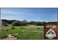 Parcela en Venta en Chiclana de la Frontera, Cádiz